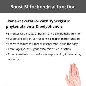 Phyto-Cell Resveratrol