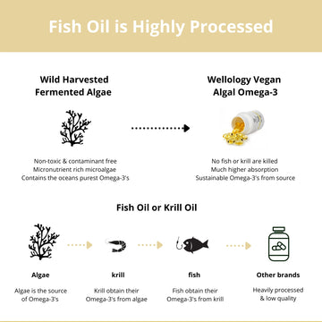 Vegan Algal Omega-3